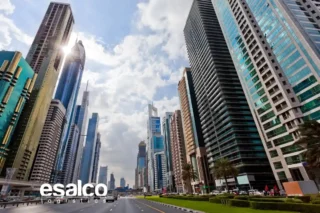 Dubai Lojistik Merkezi ile Tedarik Yönetimi