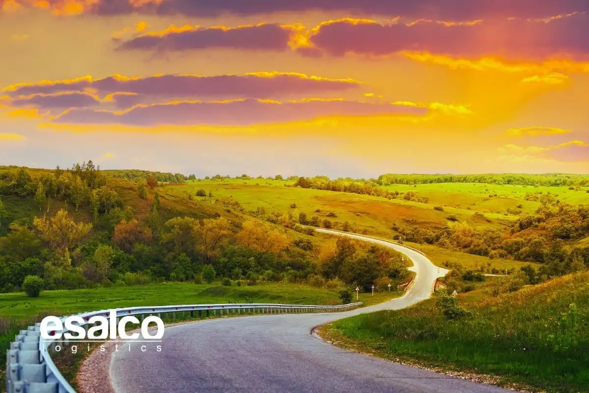 Dış Ticaret Nedir? Dış Ticaret Türleri Nelerdir?