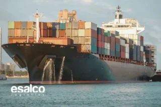 gemi türleri ve kullanım amaçları