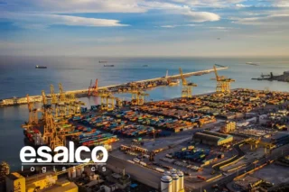 telex release nedir nasıl işler