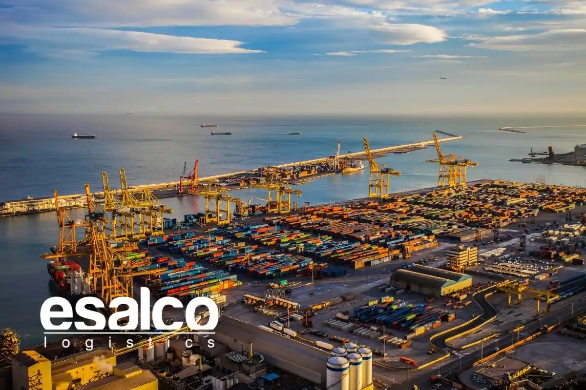 Telex Release Nedir? Nasıl İşler?