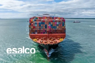 imo (uluslararası denizcilik örgütü) nedir