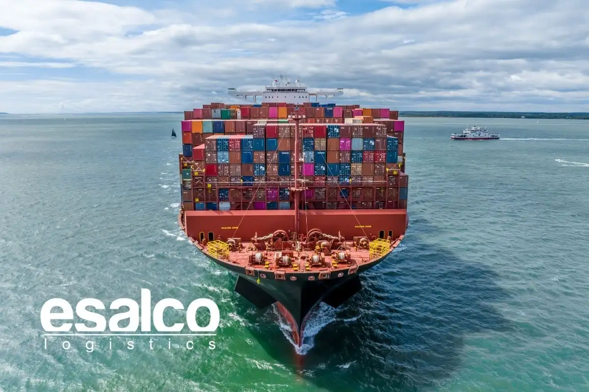 IMO (Uluslararası Denizcilik Örgütü) Nedir? IMO Sembolleri ve Önemi